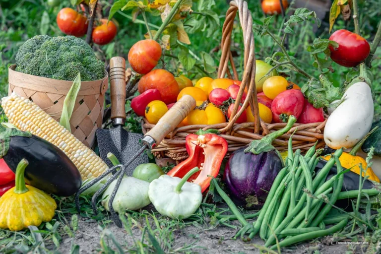 Gardening_Tips_Planting_Vegetables_By_Season