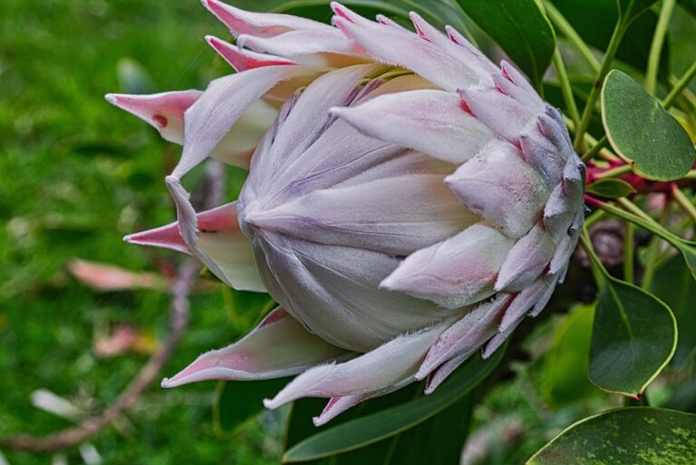 garden landscaping tips
