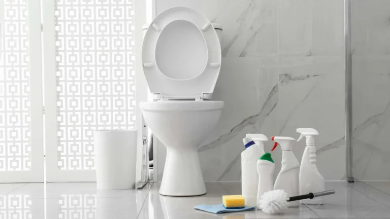 toilet-cleaning